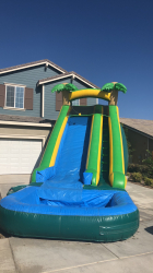 18ft palm tree waterslide